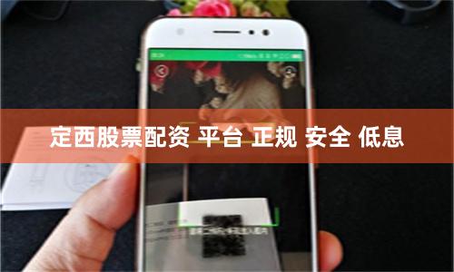 定西股票配资 平台 正规 安全 低息